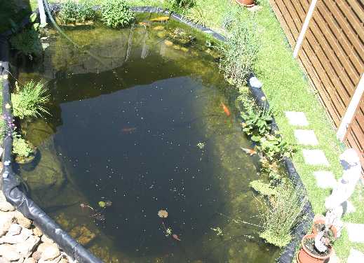 Hier klicken fr groes Bild